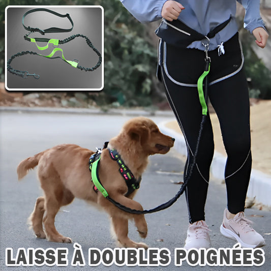 Laisse pour chien | mains libres