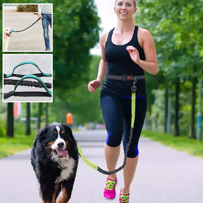 Laisse pour chien | mains libres