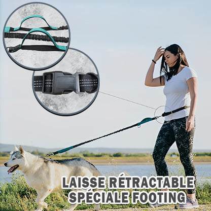 Laisse pour chien | mains libres