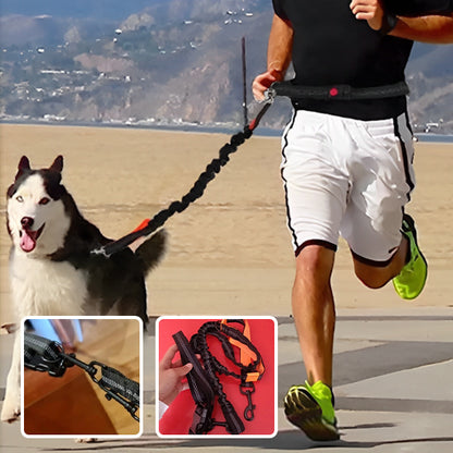 Laisse pour chien | mains libres