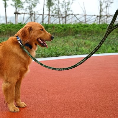 Laisse pour Chien corde verte