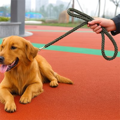 Laisse pour Chien tressee